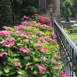 La Villa Des Roses